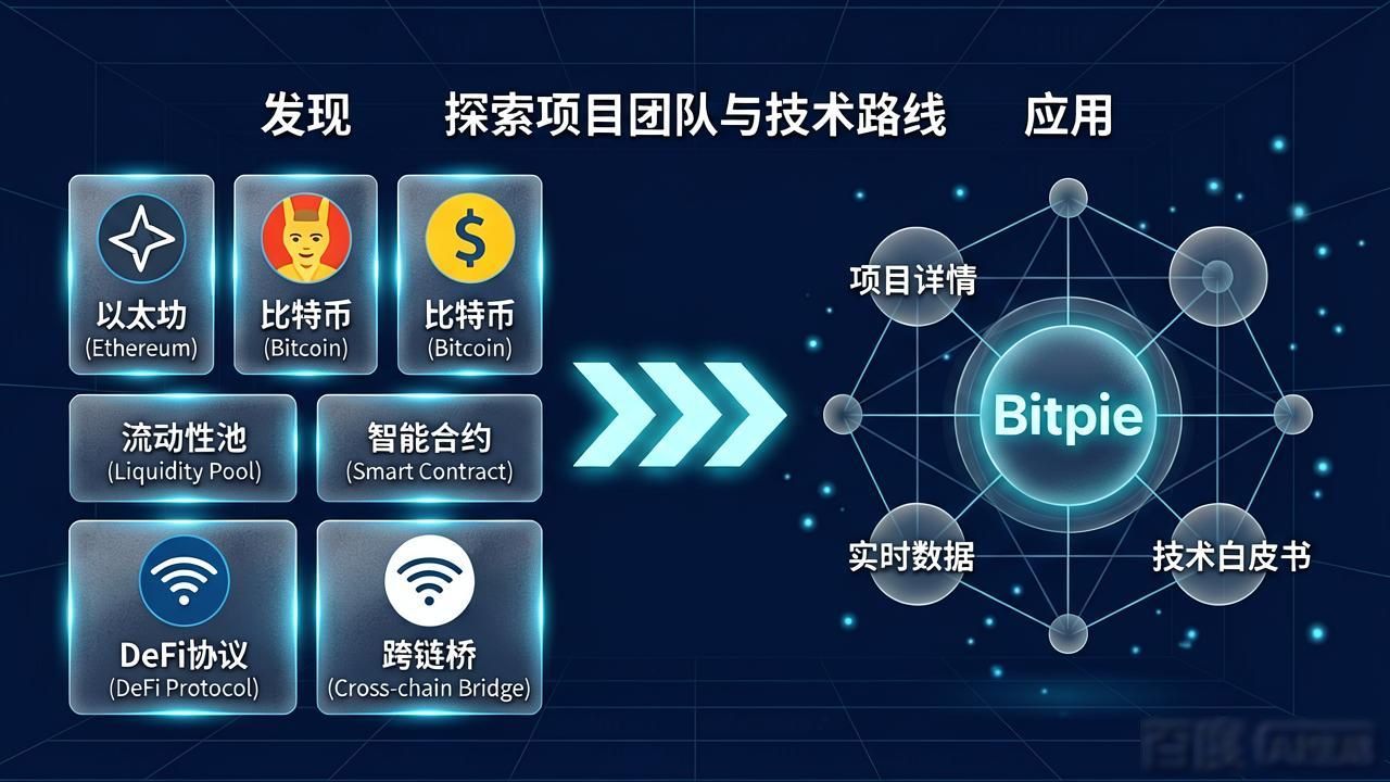 手把手教你用比特派钱包下载学投资知识