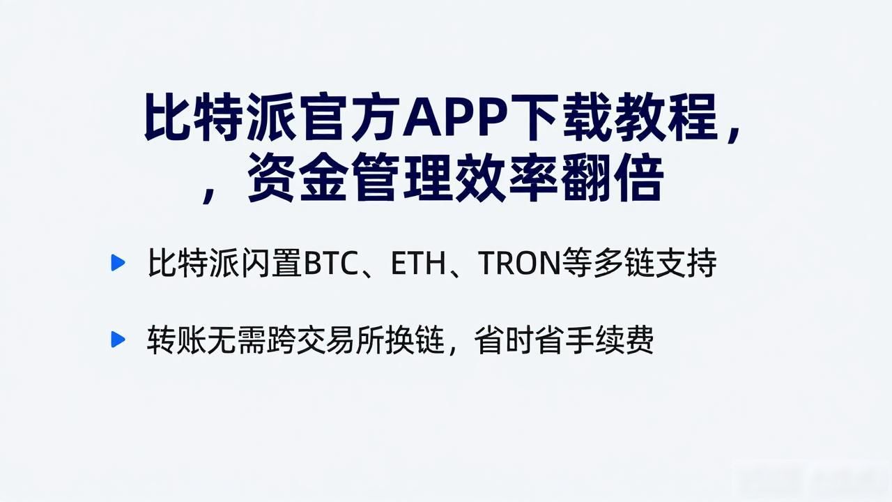 比特派官方APP下载教程，资金管理效率翻倍